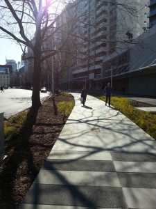 Walkers on the Beach Rd cycleway
