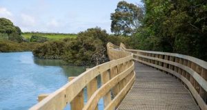weona- westmere walkway